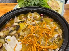 -菌之家·专业纯野生菌火锅·特色炒菌
