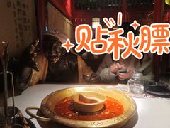 -新哥老官·畅吃123·美蛙世界(苏宁广场店)