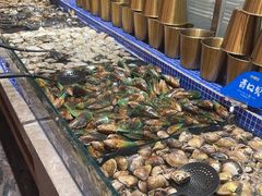 -丰卓会海鲜自助(中润大道店)
