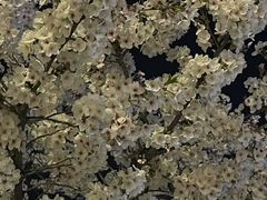 -龙美术馆西岸馆-停车场