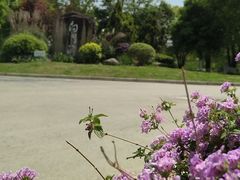 -白鹭湾湿地公园