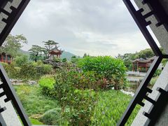 -顺峰山公园