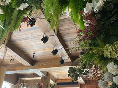 -一棵树·意大利西餐厅One Tree(新城店)