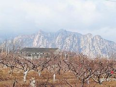 -大自然农场蔬菜草莓采摘园