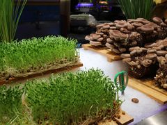 -V-ONE西雅图海鲜自助餐厅(仓山万达广场店)