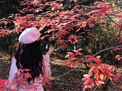 -长春世界雕塑园冰雪艺术天地