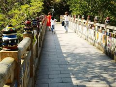 -西双版纳原始森林公园