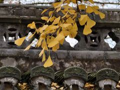 -清漾毛氏文化村