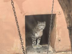 -青藏高原野生动物园
