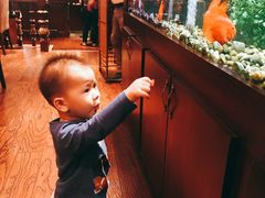 -蓝枪鱼西餐厅(锦华店)