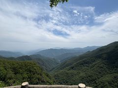 -牛背梁国家森林公园
