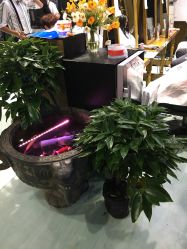 -木北造型
