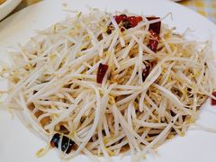 炝拌绿豆芽-京皇十二道天津菜(蒲黄榆店)