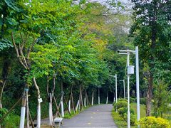 -紫马岭公园