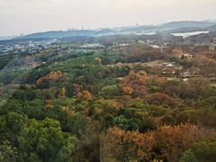 -东湖磨山景区