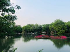 -西溪国家湿地公园