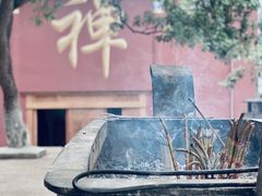 -抚仙湖禄充风景区