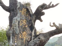 -龙湾潭国家森林公园
