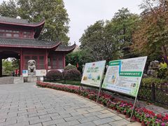 -堤角公园
