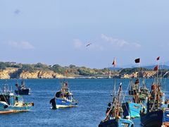 -海源公园