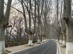 -灵谷景区