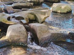 -成都市活水公园