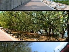 -宝安西湾红树林湿地公园