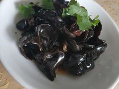 美极黑木耳-大鸭梨(天通西苑店)
