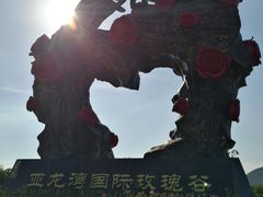 -亚龙湾国际玫瑰谷