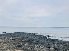 -涉地可支