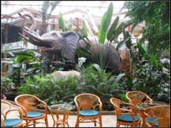 大象-绿色时代大酒店