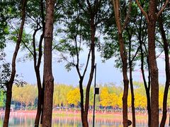 -大兴滨河森林公园