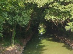 -同里国家湿地公园