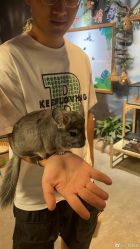 -酷嗒动物文化乐园(cutezoo西溪乐天城店)