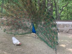 -哈尔滨北方森林动物园