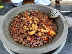 -秦巴石锅鱼(文化南路店)