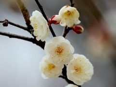 -凤凰沟景区