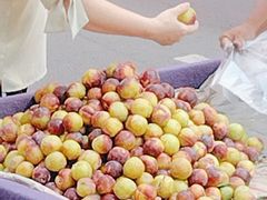 -内蒙古自治区人民医院