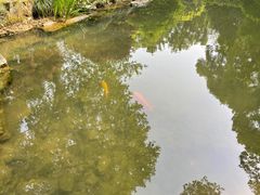 -杭州植物园