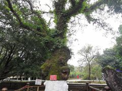-桂林灵渠景区