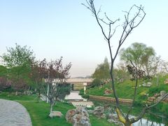-羊山湖公园