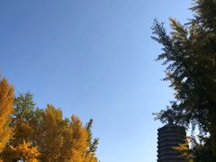 -玲珑塔公园