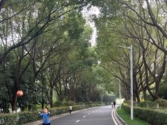 -羊山湖公园