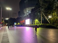 -上海东方艺术中心