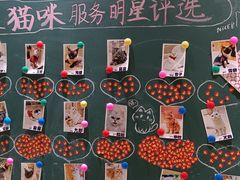 -藏猫猫咖啡主题馆(中央大道店)