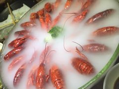 经典冰镇龙虾-红盔甲·小龙虾(天钥桥店)