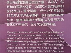 -北京周口店北京人遗址博物馆
