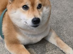 -三目仓咖啡(贤南路店)
