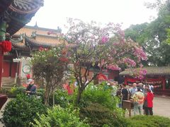 -丰都鬼城名山景区