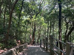-灵顺寺